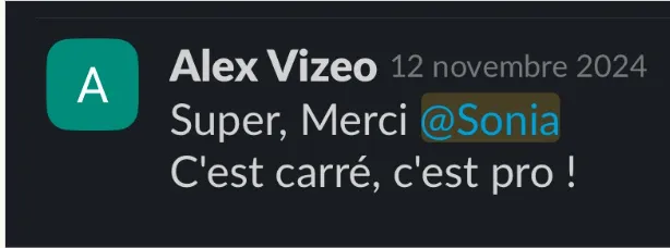 Témoignage Alex Vizeo